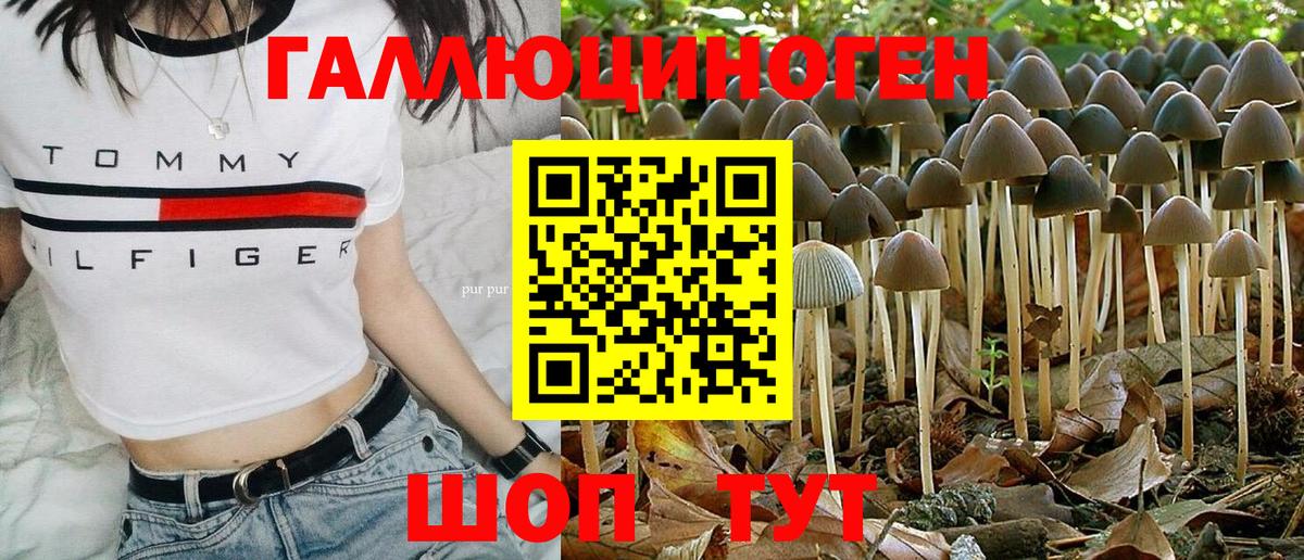 Псилоцибиновые грибы Magic Shrooms Фрязино